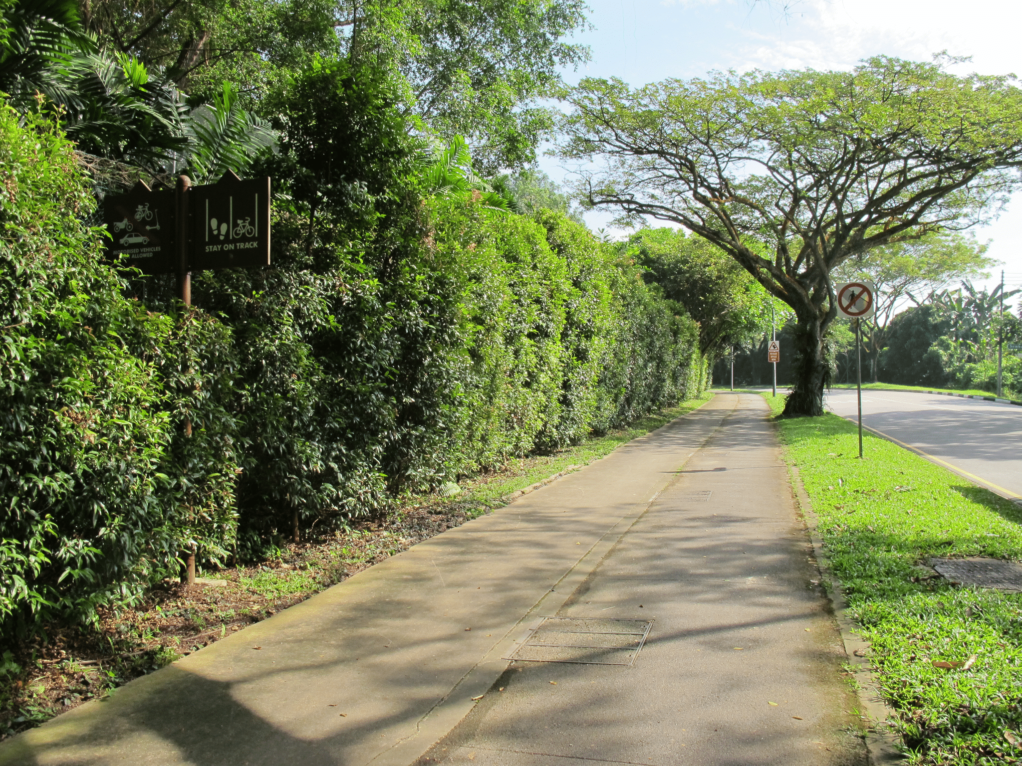 Canberra Garden