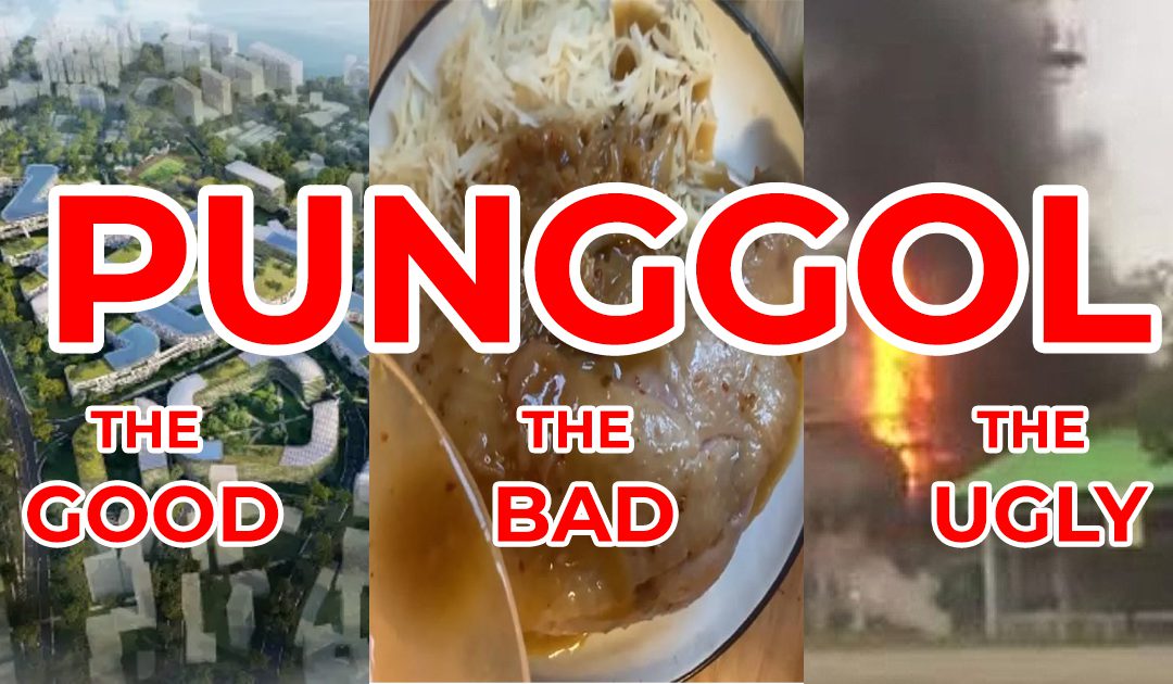 The Good, the Bad & the Ugly of Punggol