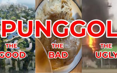 The Good, the Bad & the Ugly of Punggol